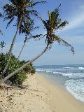 Strand bei der Villa Susantha