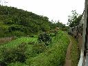 Zugfahrt von Ella nach Kandy
